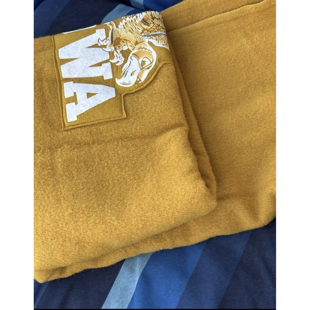 Pendleton University of Iowa Hawkeyes Wool Fringe Throw Stadium Blanket 52x70”
